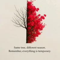 original sound - kingdavid1749