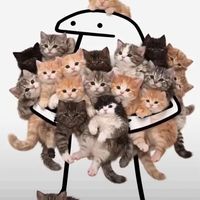 original sound - 🐈🧡น้องส้ม🐈🧡