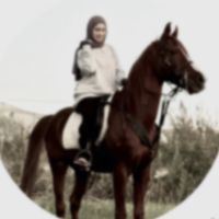 leensabbagh__