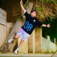 الصوت الأصلي