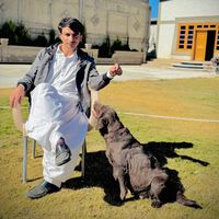 bilalkhan93191