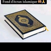 user4737824169650