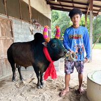 user492570388121