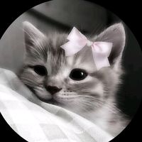 farjanashawon0