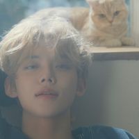 txt_moa_913
