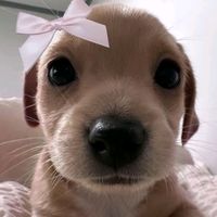 briana_00123