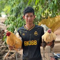 borey9949