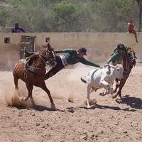 atilio.queiroz