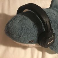 original sound