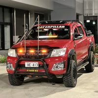 fijian_star_17