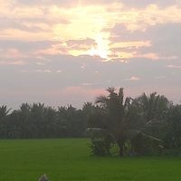 nhạc nền - 🎐🍀❃.✮:▹Báo◃:✮.❃🍀🎐