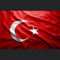 tokat_sahinler