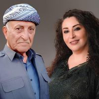 sairanhamidafandi