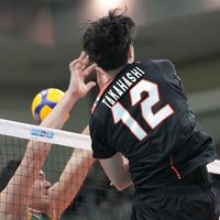volleyballfan_0902