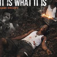 iamdamidrizzy