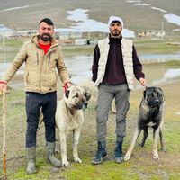 soner_ozturk65