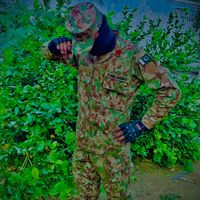 tarikhal804