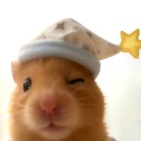 nhạc nền - 🐷🍄 Mắm lùn 🍄🐷