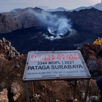suara asli - bambang raung guidelokalraung