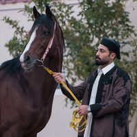 elshaaf1