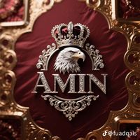 aminemispara2