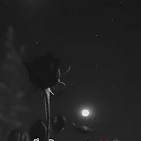 original sound - love_is_beautiful_77