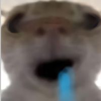 wxljj_ta