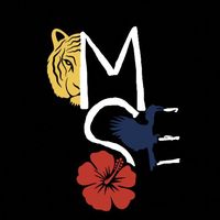 msocessex