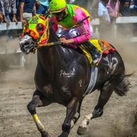 carrerasdelestadodemex