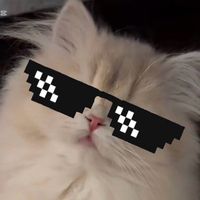 sr397733