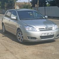 volk_blatnoy