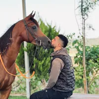 original sound - ihabturkman