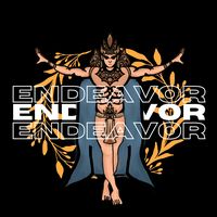 endeavor_4