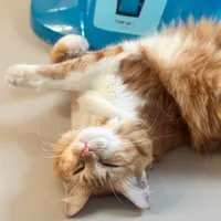 original sound - kam.mon231125