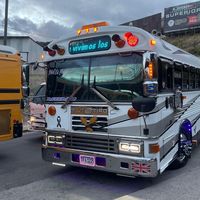 busestuninghnd504oficial