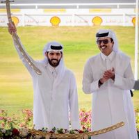 الصوت الأصلي