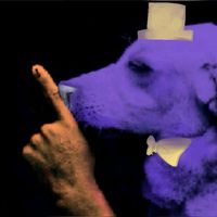 оригинальный звук