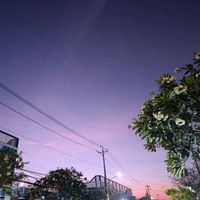 âm thanh gốc - ⭐💤