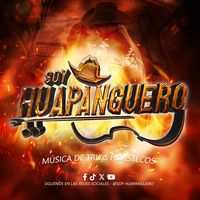 soy.huapanguero