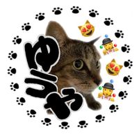 yuya.nekolife