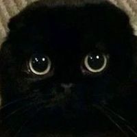 オリジナル楽曲 - 餅ろん。