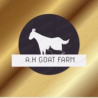 alhamzagoatfarm