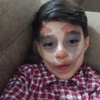 dom_texto1