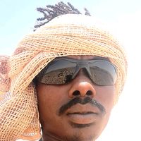 الصوت الأصلي