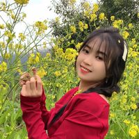 thichay257