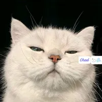 original sound - chondrikaislam