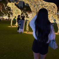 _ycln.8