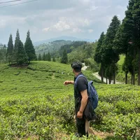 original sound - shik_3118