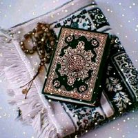 shazia.hussain64