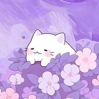 wondxr.songs